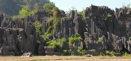 The beatiful of stone forest